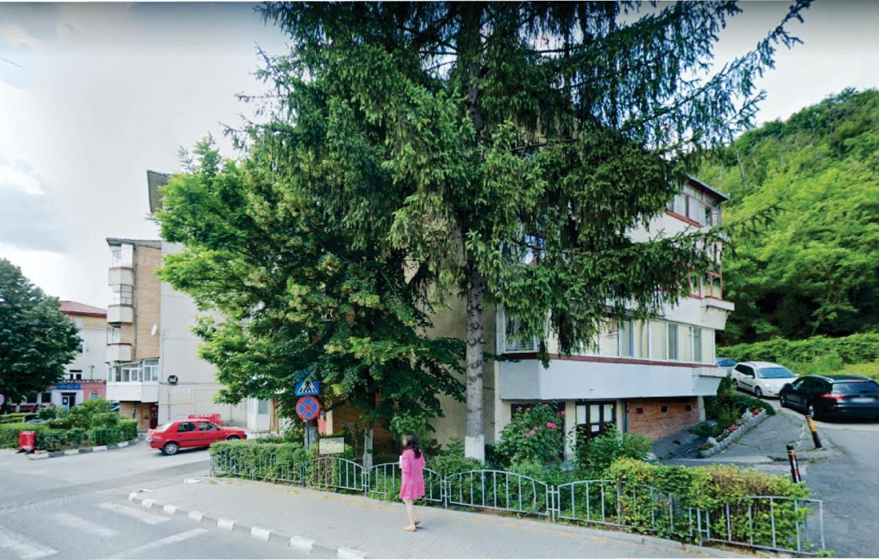 Râmnicu VâlceaVero Apartament Central Rm Valceaアパートメント エクステリア 写真